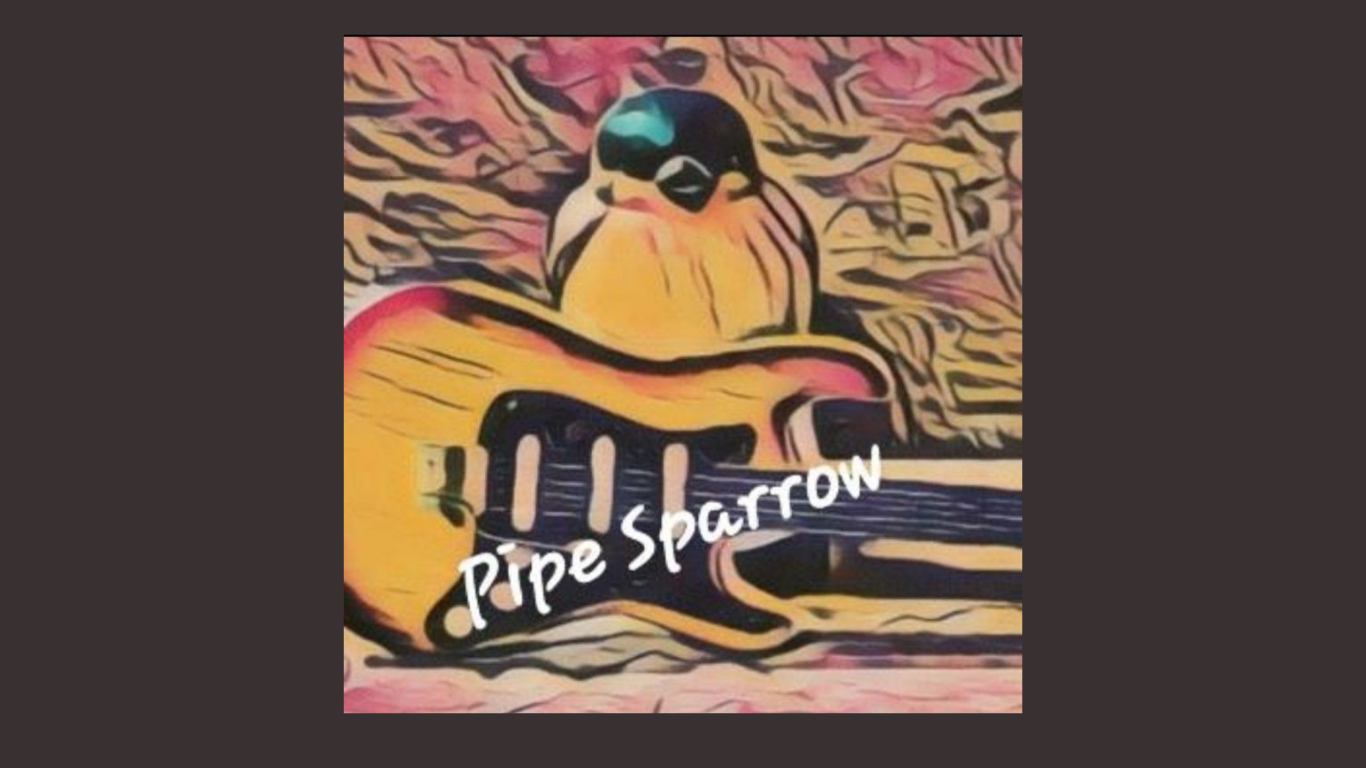 PipeSparrow