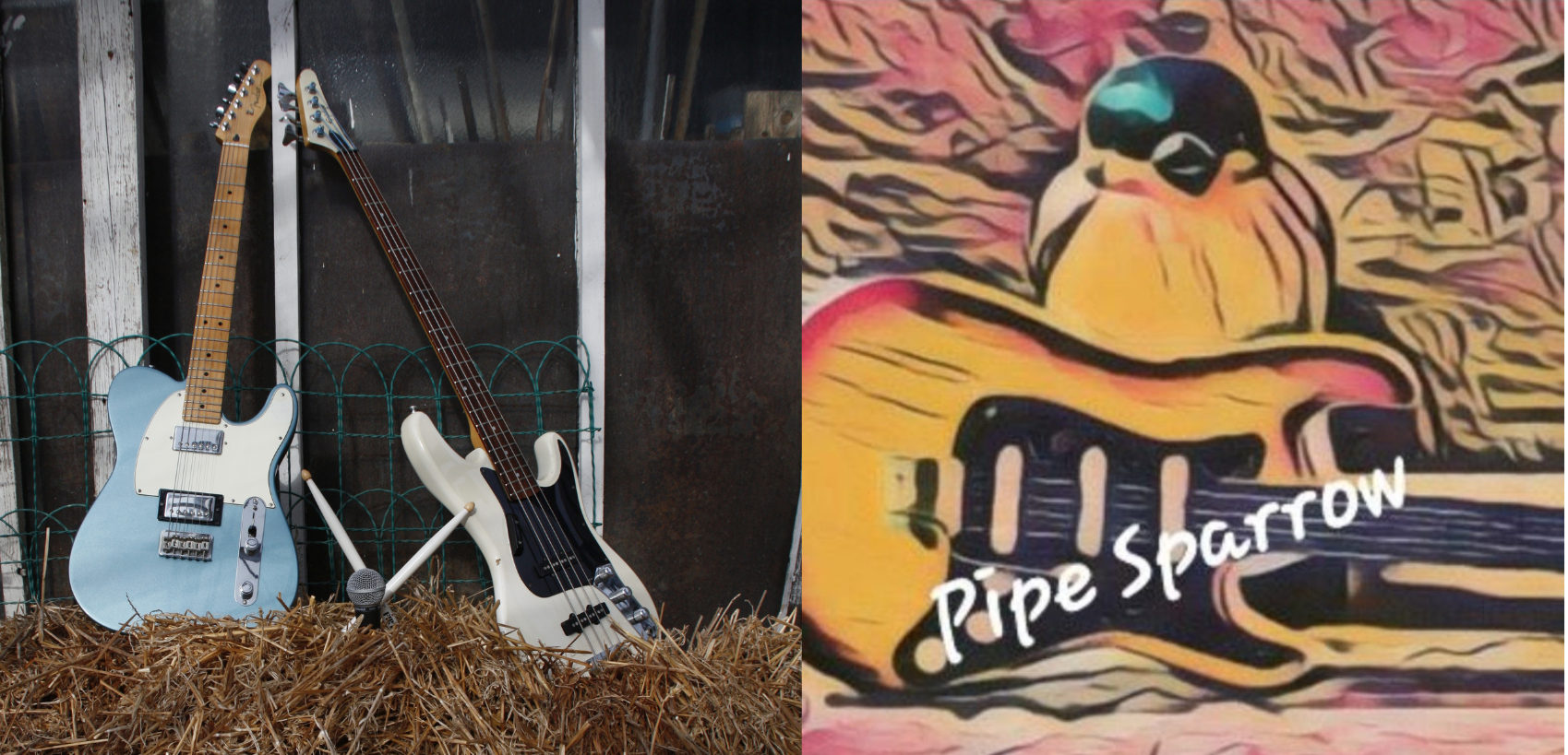 PipeSparrow